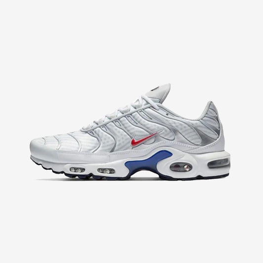 Nike Air Max Plus TN 'Euro Tour'