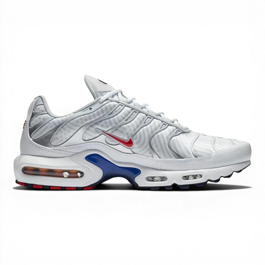 Nike Air Max Plus TN 'Euro Tour'