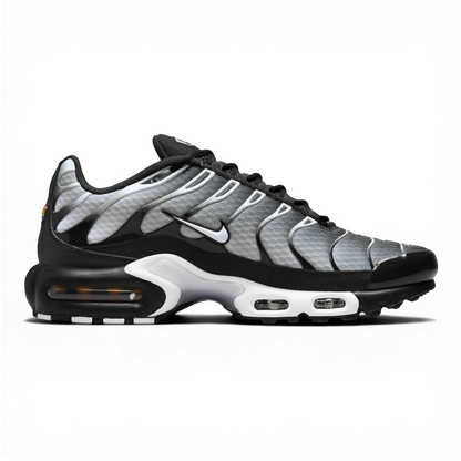 Nike Air Max Plus “Black/Metallic Silver”